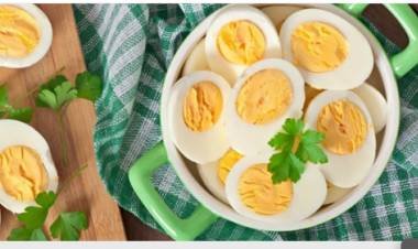 Do Egg Yolks Increase Weight And Fat In Body 